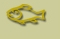 fish.jpg
